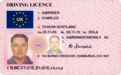 Example License Image
